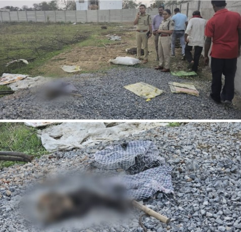 *तहसीलदार के खाली प्लाट में लंबे बाल वाली मिली खोपड़ी, जांच में जुटी पुलिस,डॉ शाजिया अली की रिपोर्ट*….
