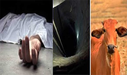 *गाय को बचाने कुआं में उतरे तीन लोगों की मौत*