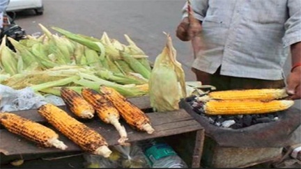 *बिलासपुर शहर में भुने भुट्टे की बहार*