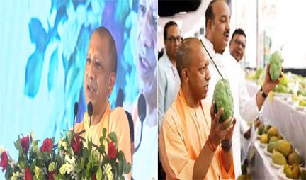 *जापान और मलेशिया को 40 टन आम निर्यात करेगा उत्तर प्रदेश: योगी*