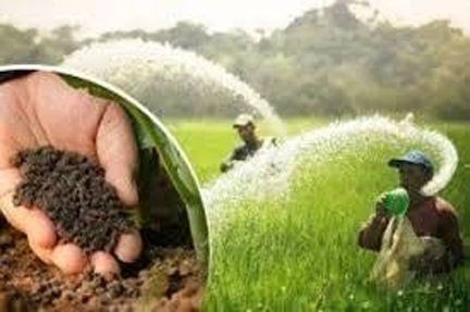 *किसानों को लक्ष्य का 80 प्रतिशत रासायनिक खाद वितरित*