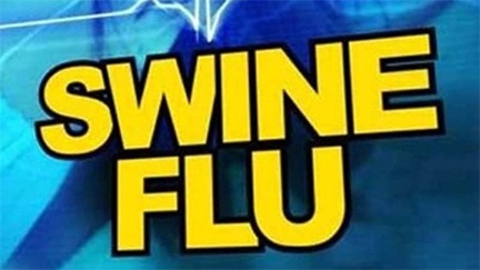 *प्रदेश में तेजी से फैल रहा स्वाइन फ्लू*