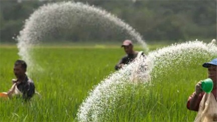 *छत्तीसगढ़ को मिलेगा 50-50 हजार टन अतिरिक्त DAP और यूरिया, किसानों को राहत*