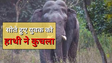 *सोते हुए युवक पर हाथी ने किया हमला*