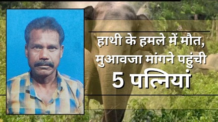 *हाथी के हमले में मौत का मुआवजा लेने पहुंच गई पांच-पांच पत्नियां, सिर खुजा रहा वन विभाग*