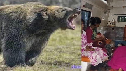 *भालू के हमले में घायल गर्भवती ने ‘महतारी एक्सप्रेस’ में दिया शिशु को जन्म*