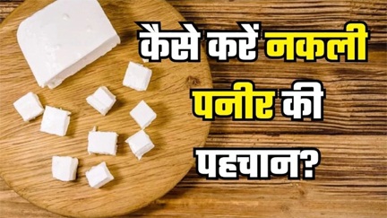 *एक साल में 15,090 किलो नकली पनीर जब्त*