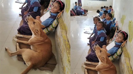 *छत्तीसगढ़ के स्कूल में बच्चों संग स्वर मिलाता एक कुत्ता, शिक्षा विभाग बेचैन*