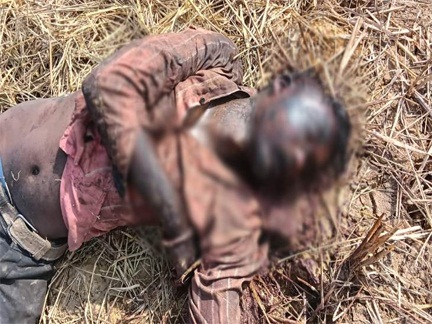 *राजधानी रायपुर में युवक की मिली अधजली लाश*