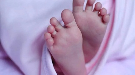 *जंगल में रोता मिला नवजात शिशु*