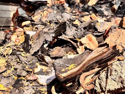 *रायपुर DEO ऑफिस लगी आग में 26 साल का पूरा डेटा जलकर खाक*