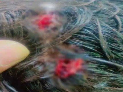 *रायपुर रेलवे स्टेशन के अंदर युवक को मारा चाकू*