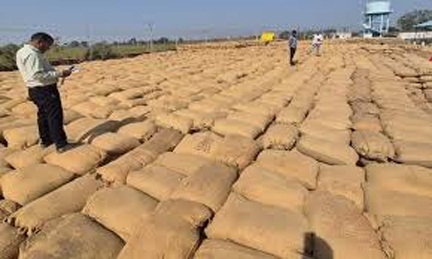 *धान खरीदी में लापरवाही पर प्रशासन की सख्त कार्रवाई*