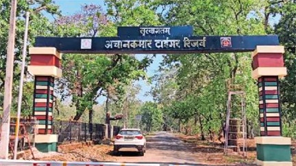 *संरक्षण व्यवस्था पर लापरवाही उजागर, अचानकमार में ट्रैप कैमरा डेटा गायब*