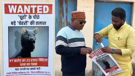 *अब छत्तीसगढ़ के इस जिले में शुरू हुई ‘वांटेड चूहों’ की तलाश*