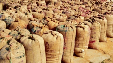 *बिलासपुर में 56 करोड़ से अधिक का धान जब्त*