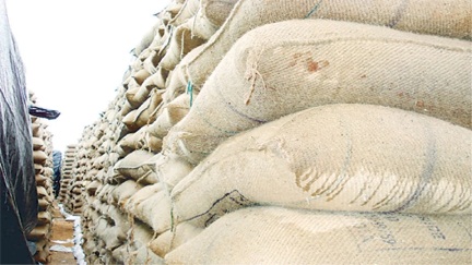 *रायपुर में धान खरीदी घोटाला*