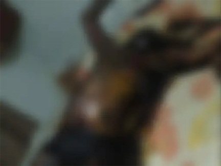 *सड्डू में 55 साल के व्यक्ति की संदिग्ध मौत*