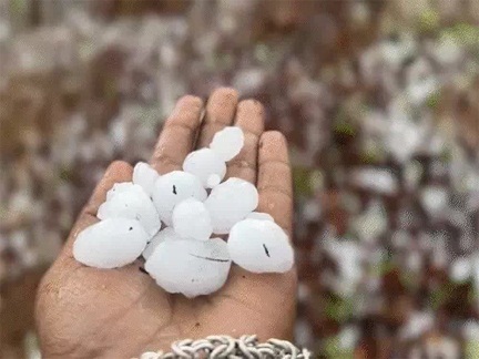 *मौसम अपडेट: छत्तीसगढ़ में 50 किमी/घंटा की रफ्तार से चलेगी आंधी*