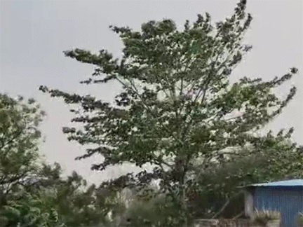 *छत्तीसगढ़ में पारा होगा और हाई, 5 दिन तक लू का खतरा*